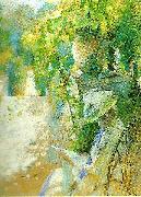 Carl Larsson fruntimmer som latsas lasa-lasande kvinna oil painting artist